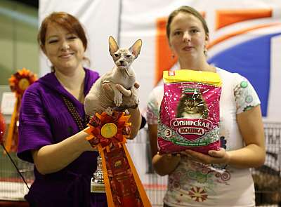 �������� ����� 20-21 �������� 2014 WCF-�����  9-297-169A2068 copy.jpg